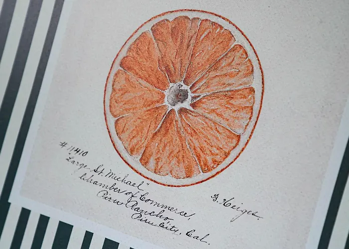 Alte Schule Klassenzimmer 4 *